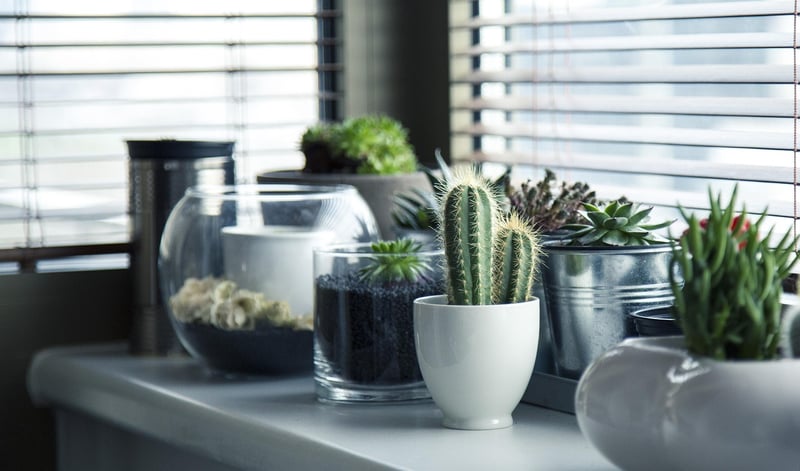 Handmade Plant Container